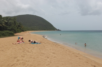 Traumstrand im Norden Guadeloupes (Alexander Mirschel)  Copyright 
Infos zur Lizenz unter 'Bildquellennachweis'